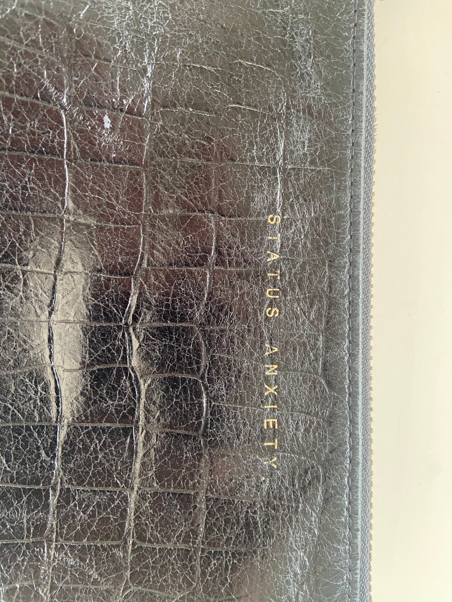 STATUS ANXIETY | Purse / Clutch